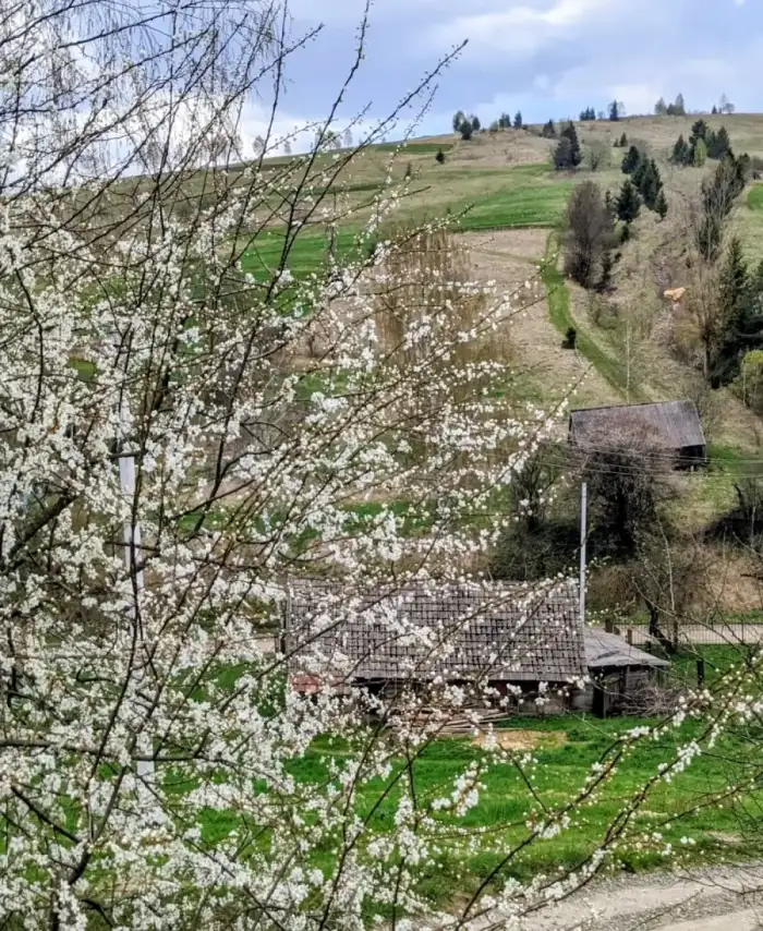 Весняний краєвид у Lavochne Villas