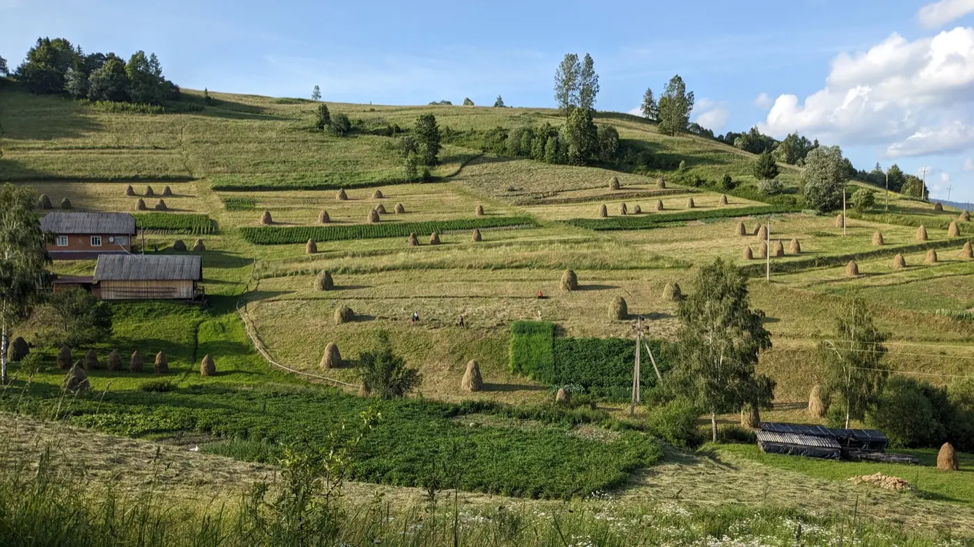 Літо в Карпатах